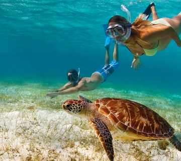 Snorkeling in Saint-Martin